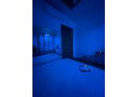 Новая сборка - коммерческая - MARBELLA - Puerto Bañus