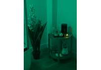 Новая сборка - коммерческая - MARBELLA - Puerto Bañus