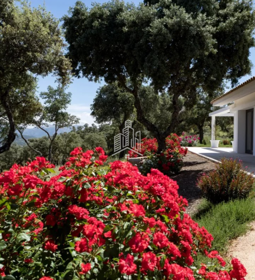 Villa's met wijngaarden, ecologische tuin te koop mede-eigendom 8 gelijke delen