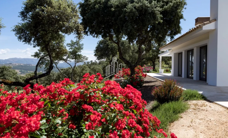 Villas with vineyards, ecological garden for sale co-ownership 8 equal shares